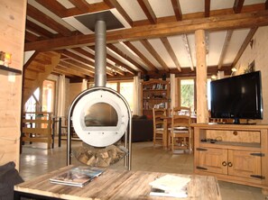 Un salon chaleureux avec un poêle à bois, une télévision et une bibliothèque.