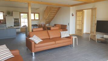 TV connectée, cheminée, lecteur de DVD, livres