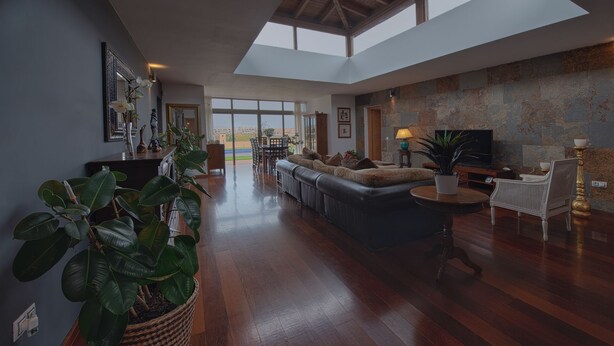 A spacious living area with a large sofa, a coffee table, and a television. There are potted plants and a view of the outdoors through large windows.