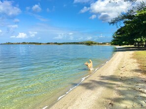 Plage à proximité