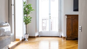 A spacious room with a wooden ceiling, a potted plant, a sliding glass door leading to a balcony, and a wooden cabinet.