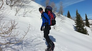 A person snowboarding down a snowy slope with bare trees and a clear blue sky in the background. - Snowshoe or ski and relax by a warm wood stove while playing games! (Scofield)