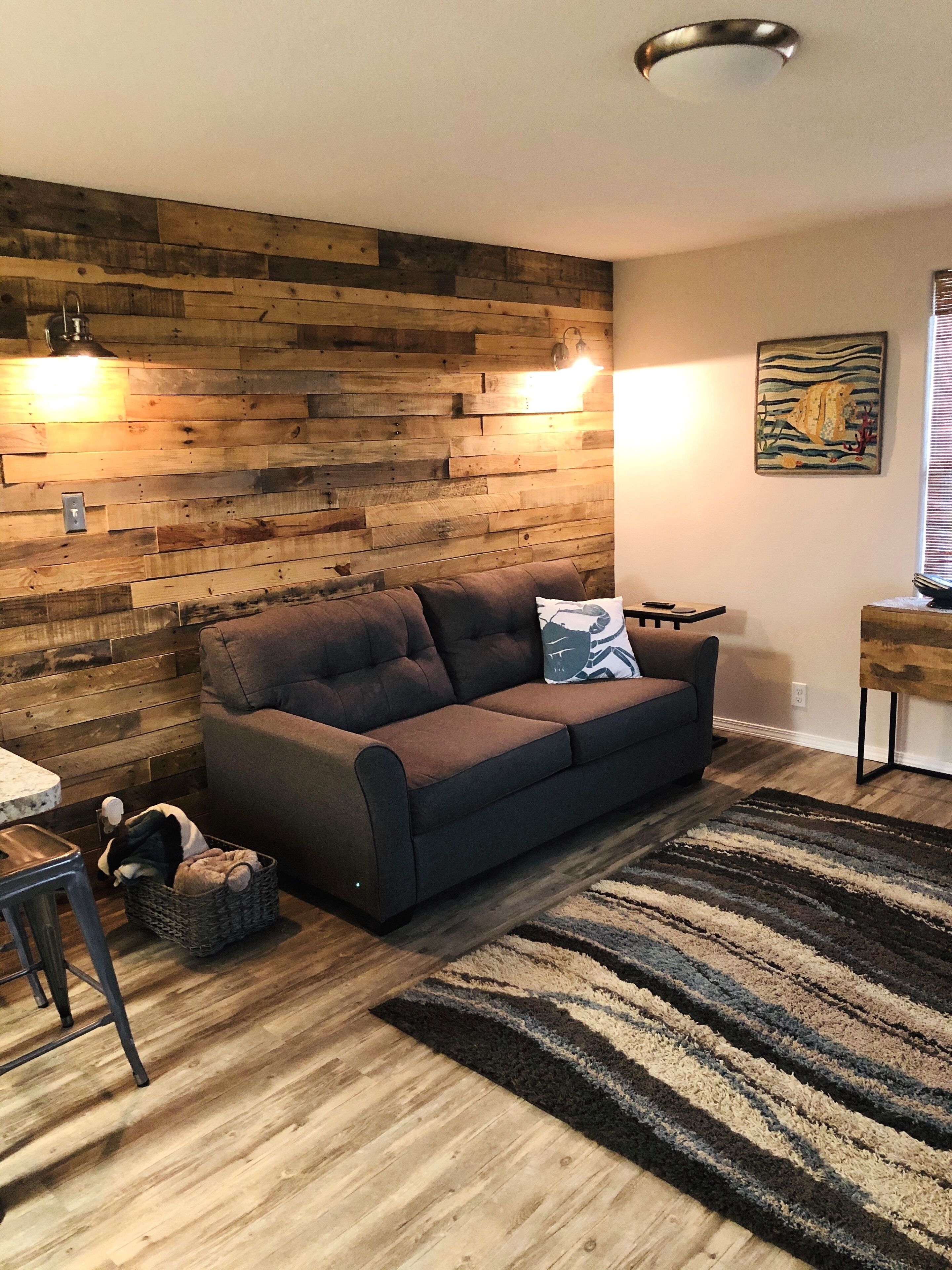 Televisión, reproductor de DVD y videoteca 