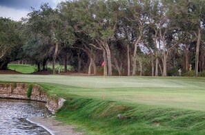 Ein Golfplatz mit Wasserschutzhindernis, Bäumen und einer Fahne auf dem Grün.