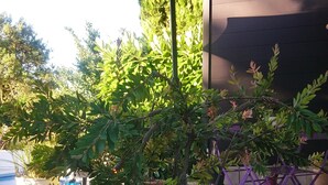 A small tree in a planter with a stone wall, an umbrella, and outdoor furniture. - STUDIO FULL OF CHARM AND BRIGHT "BETWEEN EARTH AND SEA" SWIMMING POOL, GARDEN SPORTED. (Montady)
