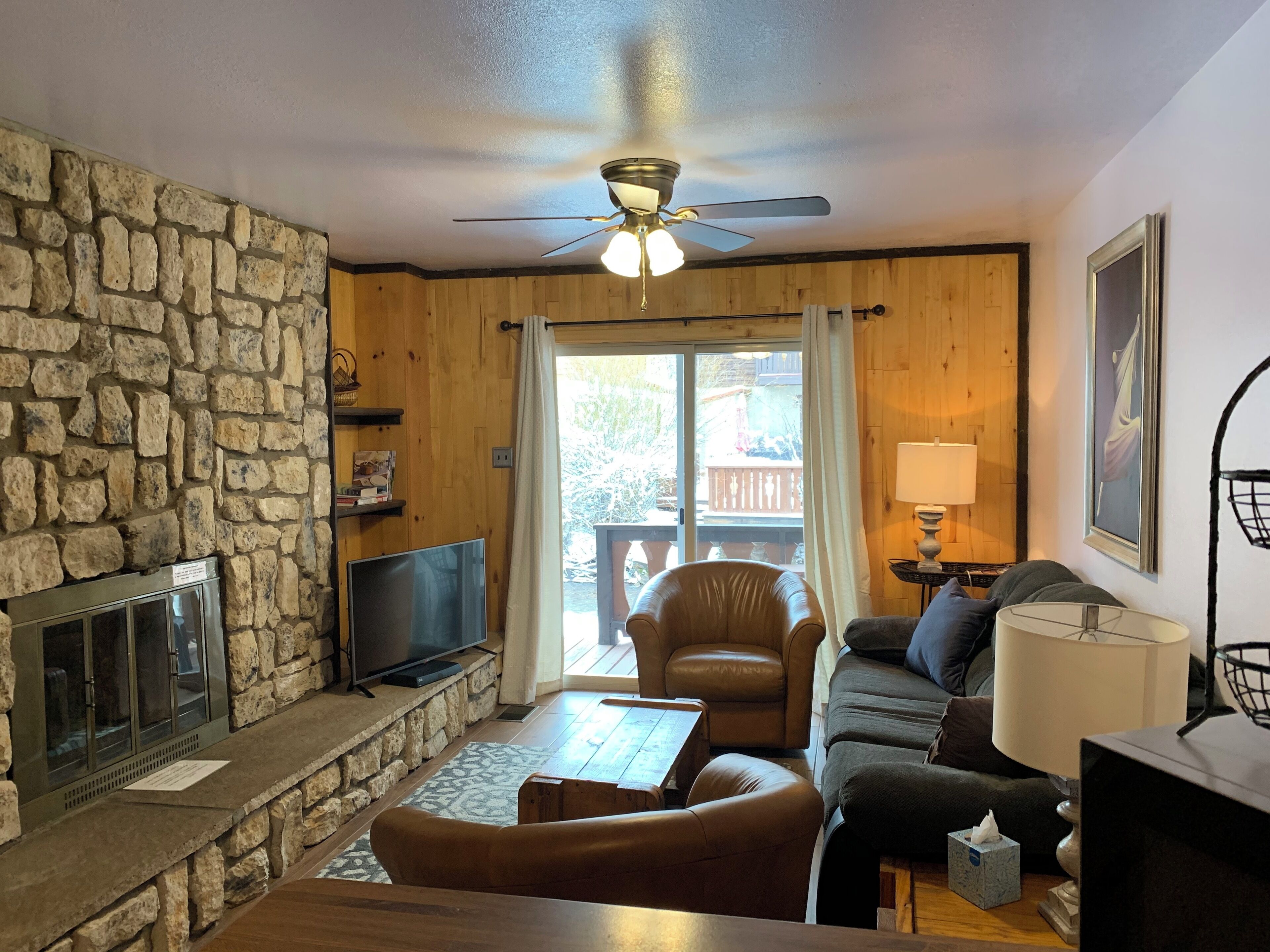 Télévision, cheminée, lecteur de DVD