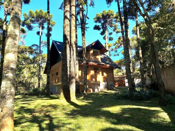A rustic cabin surrounded by tall trees and a well-maintained lawn.