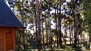 Une cabane en bois dotée d’un porche carrelé, entourée de grands arbres et d’une zone herbeuse.