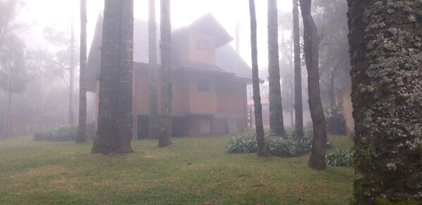 Une maison entourée de grands arbres, dans un décor brumeux.