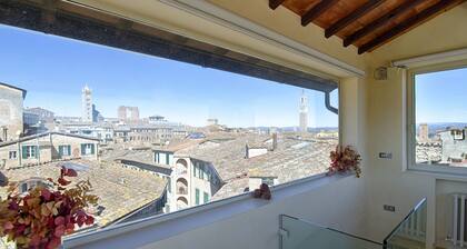 Rinidia Siena Centro