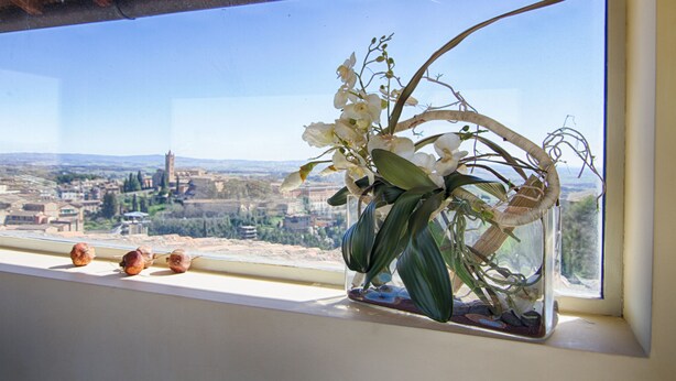A vase with flowers on a windowsill overlooking a cityscape. - Rinidia Siena Centro (Siena)