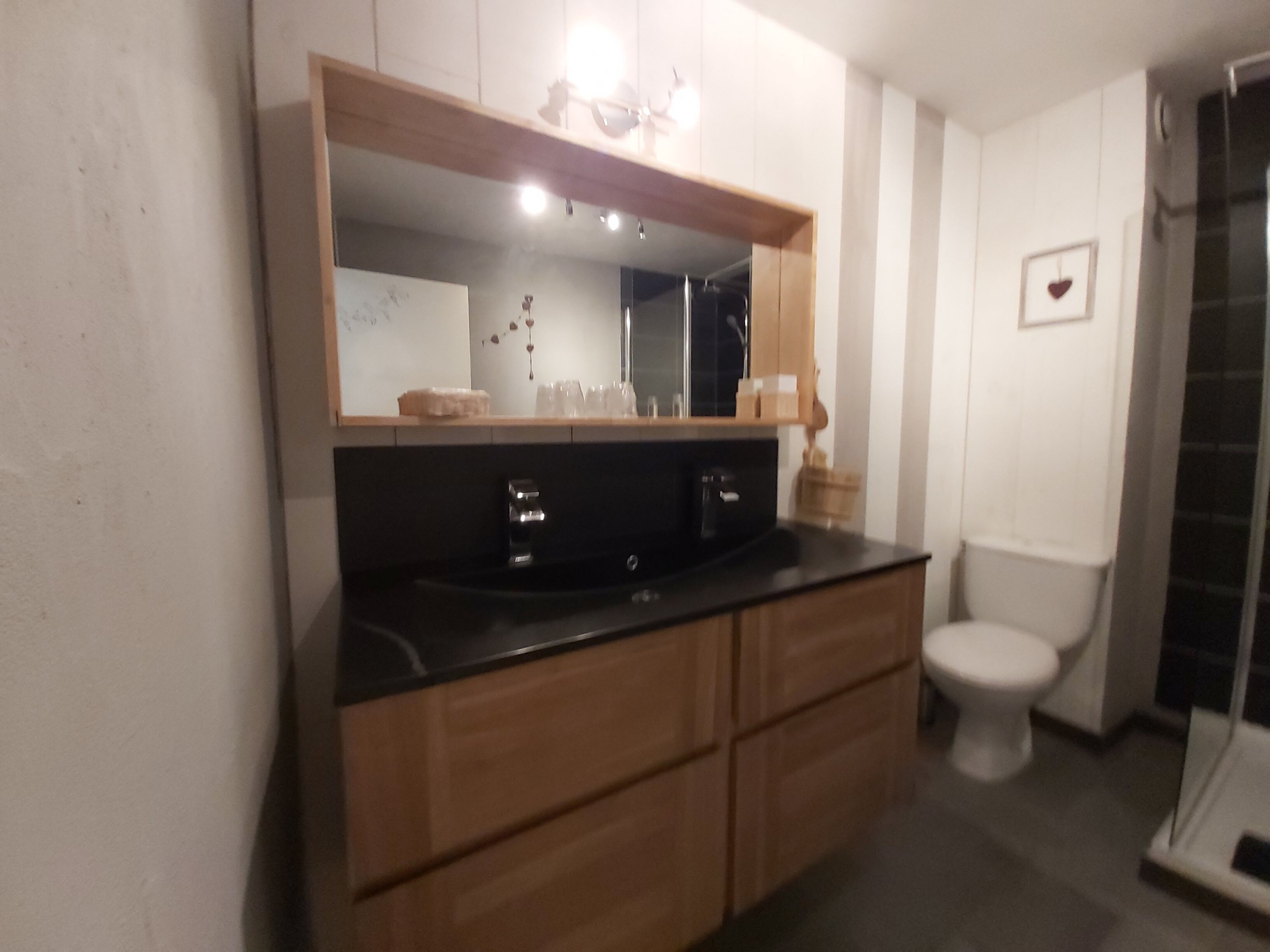 Un bagno con un mobile contenitore in legno, uno specchio e un water.