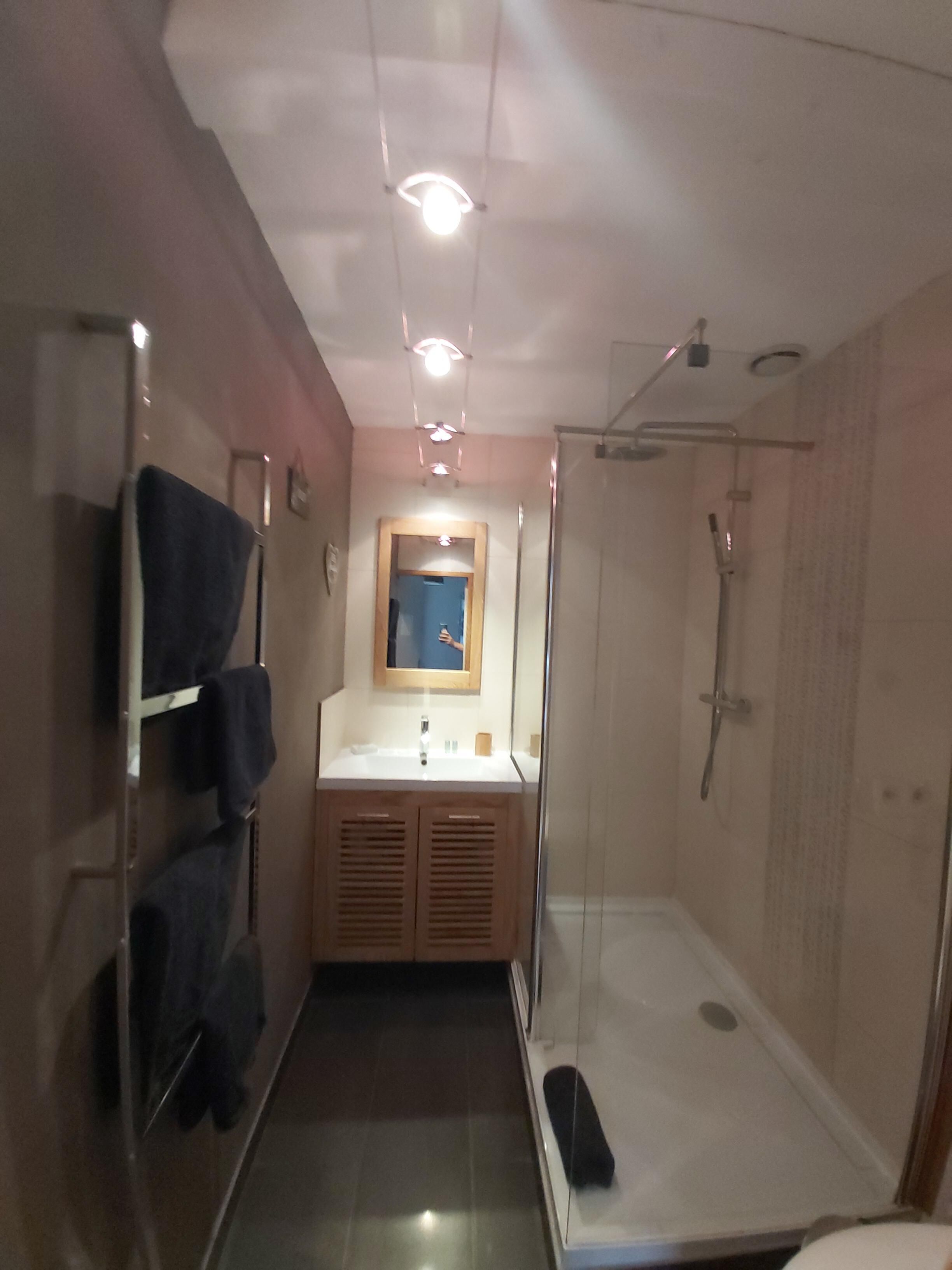 A narrow bathroom with a shower, a sink, and a mirror.