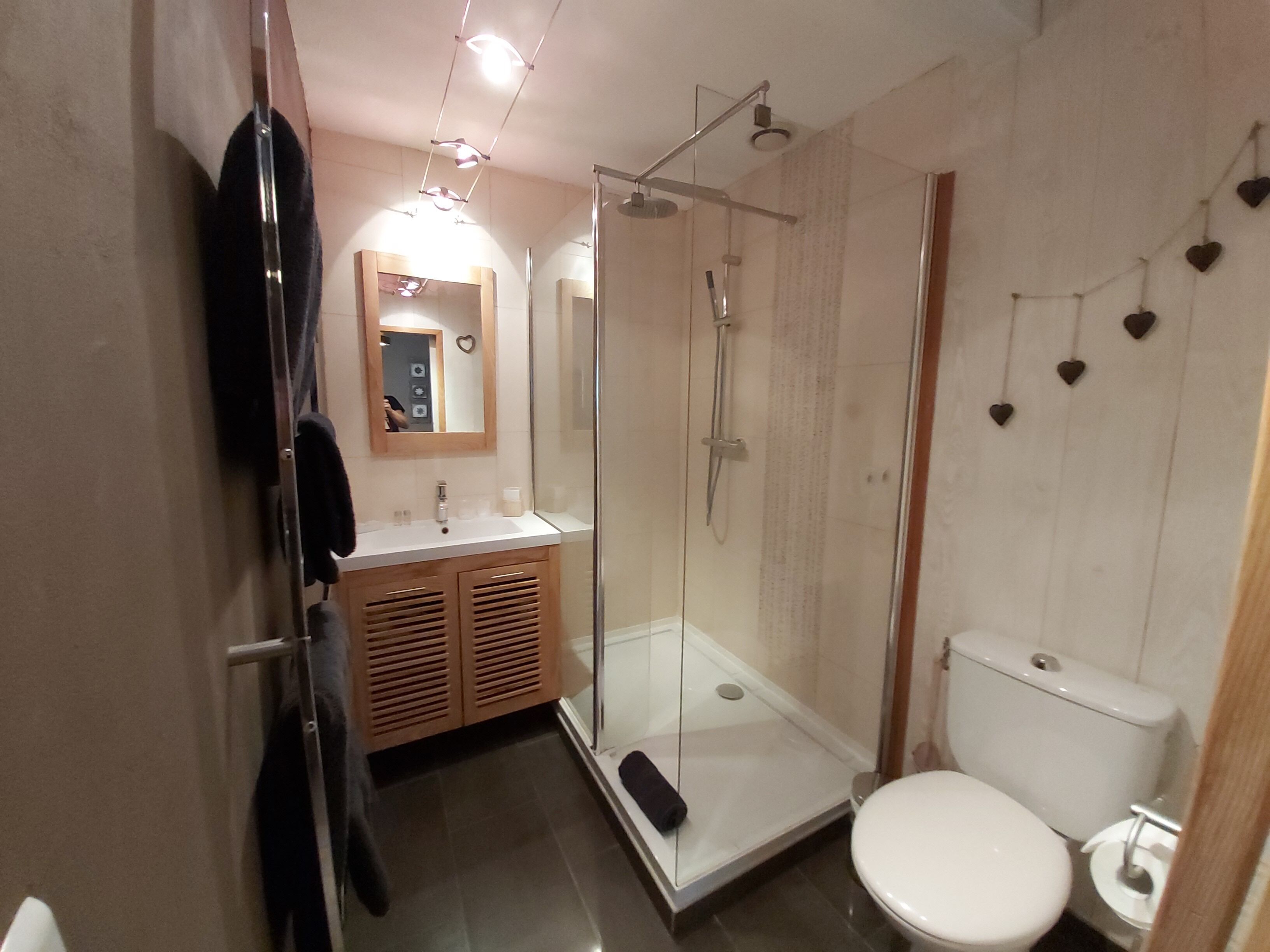 A modern bathroom with a glass shower enclosure, a white toilet, and a vanity with a mirror.