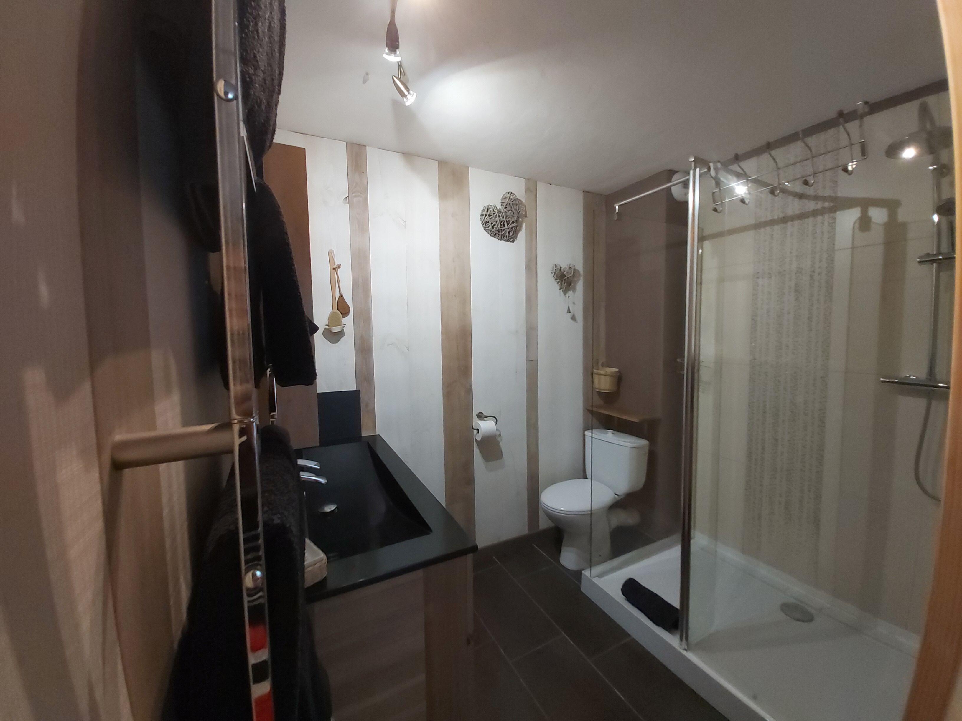 Un bany modern amb una cabina de dutxa de vidre, un vàter i un rentapeus.