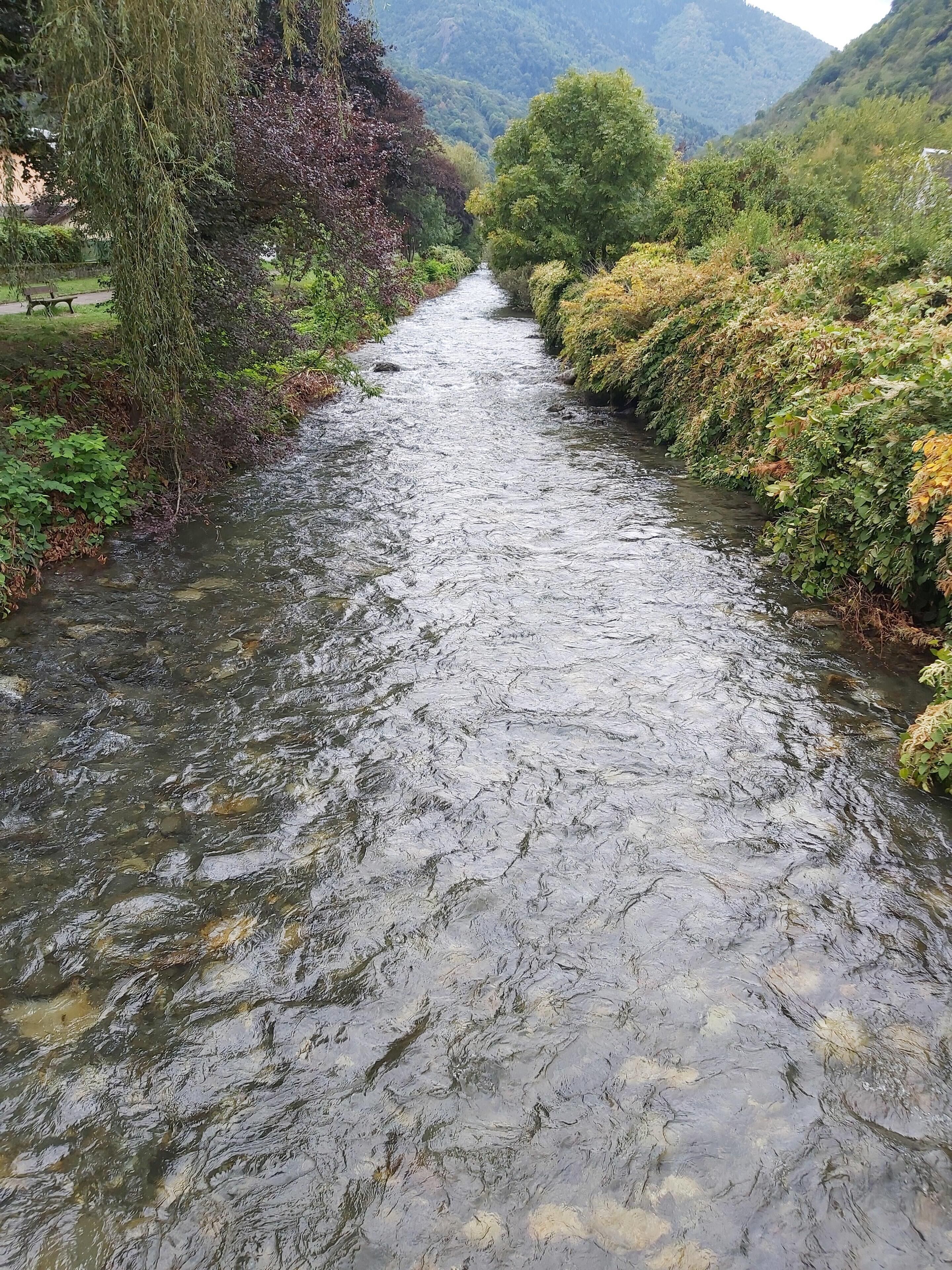 Un río que serpentea por un valle con abundante vegetación a ambos lados.