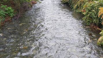 Un río que serpentea por un valle con abundante vegetación a ambos lados.