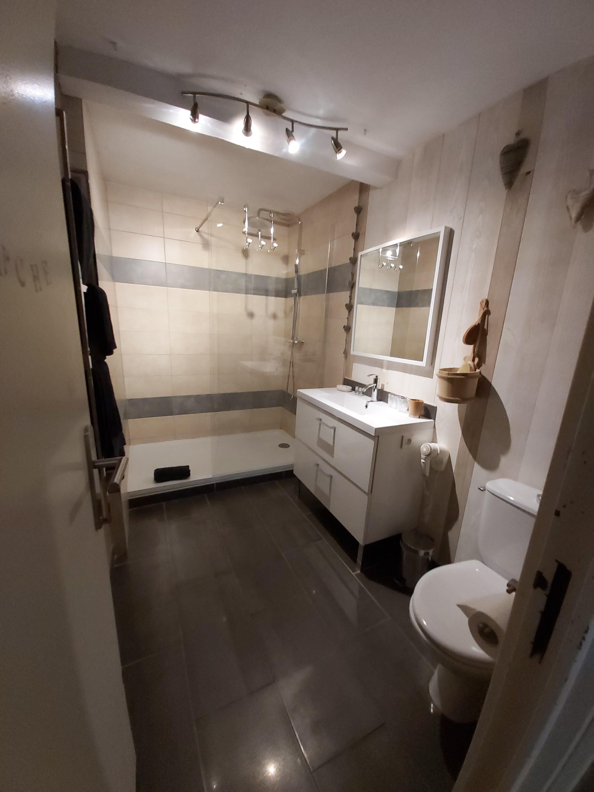 A modern bathroom with a shower, toilet, and vanity.