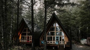 Two wooden cabins with large windows, surrounded by dense forest. - Salted Roots Blue Door A-Frame Cabin (Seward)