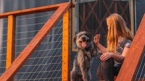Una persona seduta su gradini di legno all'aperto, vicino a una yurta, con un cane.
