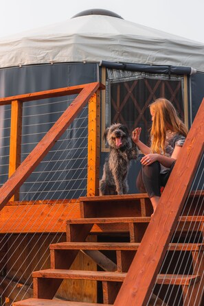 Animaux de compagnie acceptés