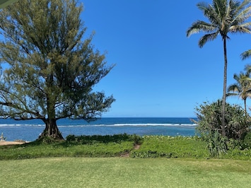 View from Lanai