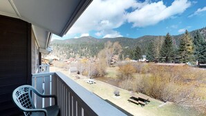 Ein Balkon mit Blick auf einen Fluss, Bäume und Häuser in der Ferne.