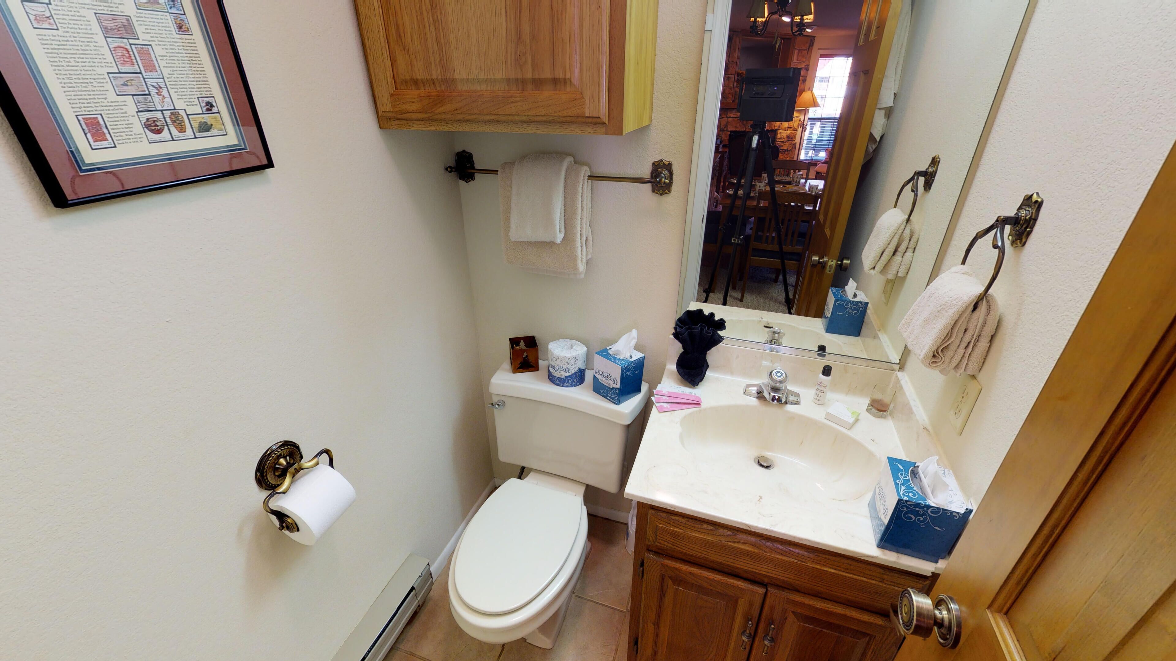 A bathroom with a toilet, sink, and mirror. There is a framed map on the wall and a towel rack.