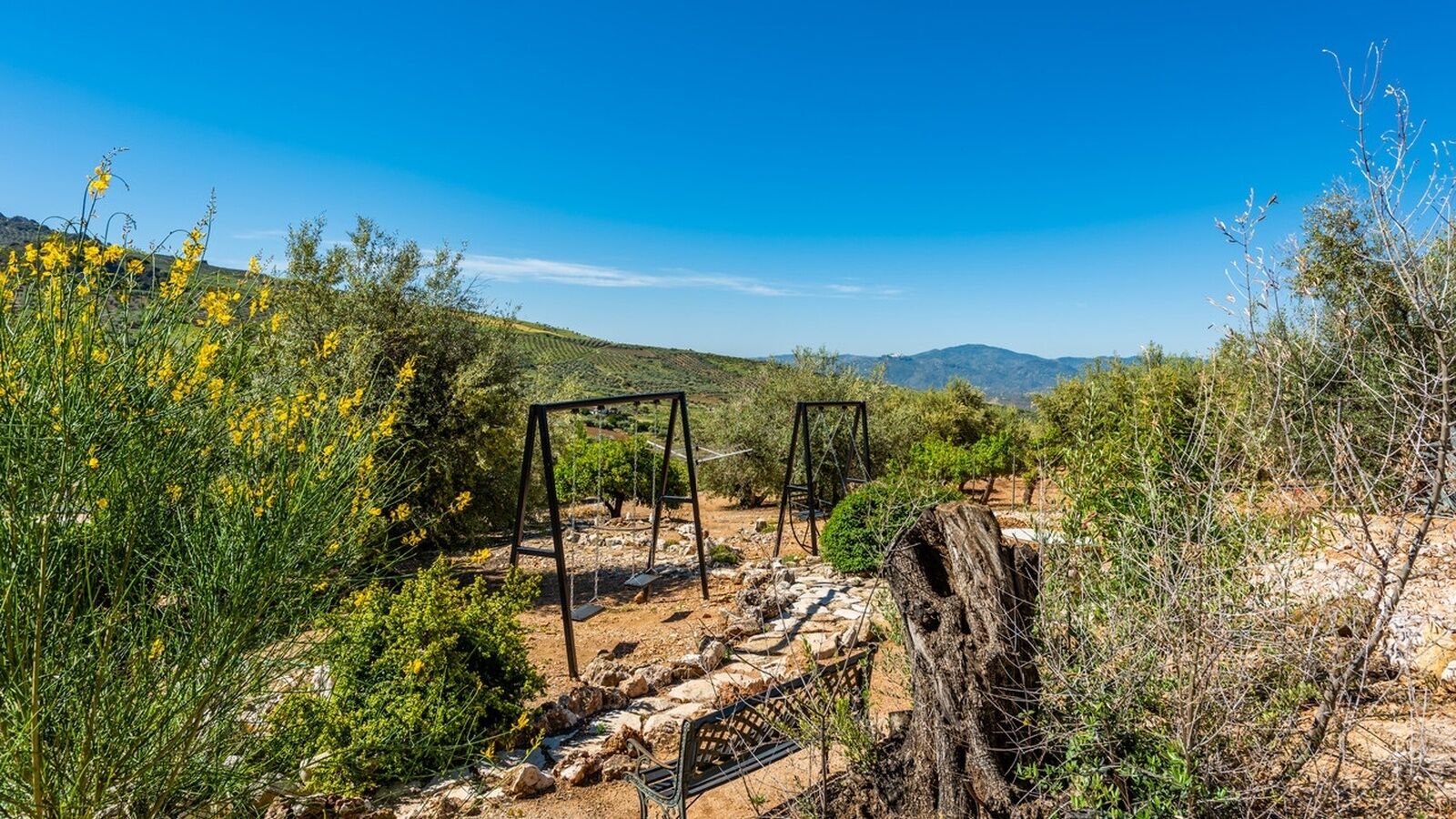 A rustic outdoor area with a swing set, surrounded by greenery and a clear blue sky.