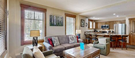 TV, fireplace, video games, DVD player