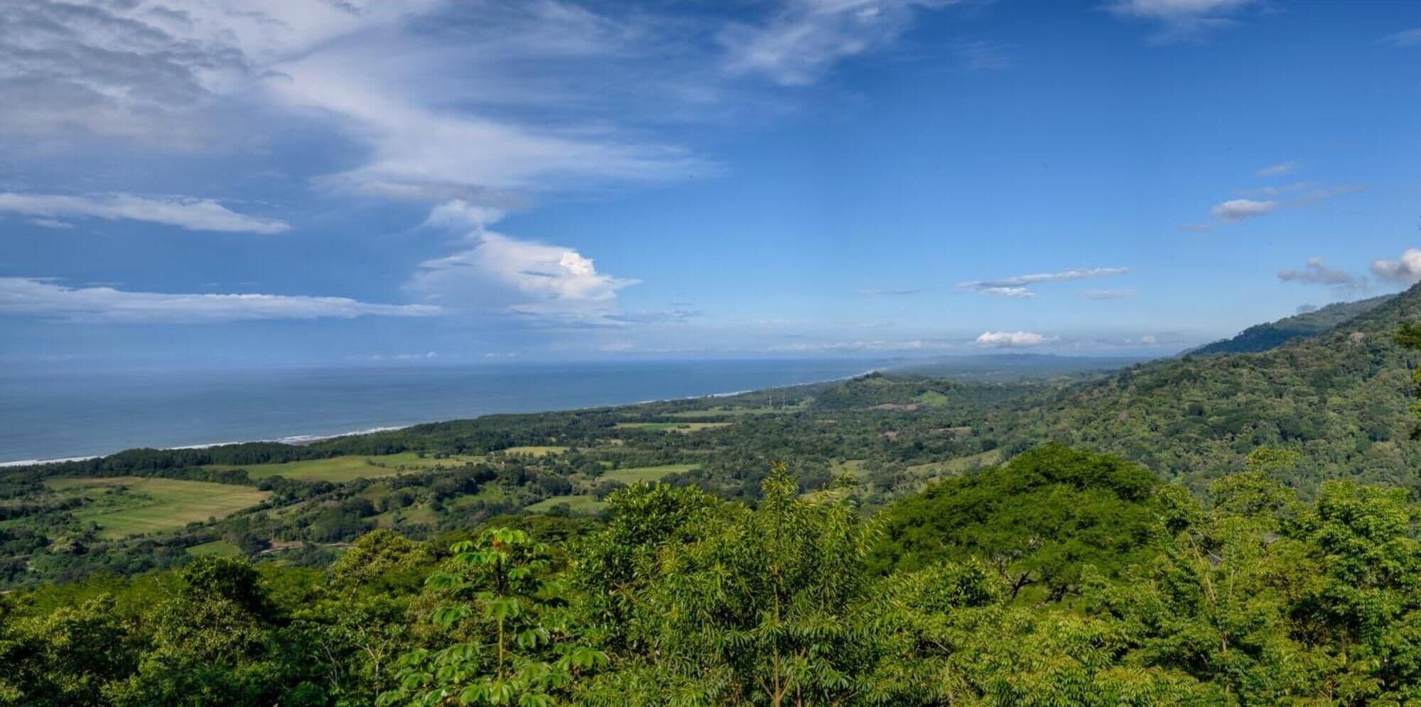 A coastal landscape with lush greenery and a view of the ocean.