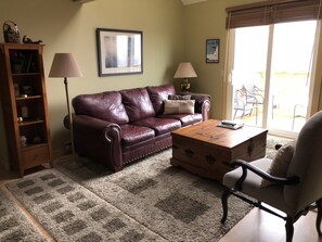 TV, fireplace, DVD player