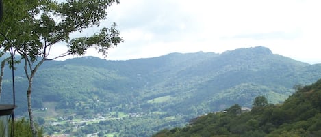 Vista desde la propiedad