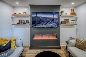 TV, fireplace, DVD player