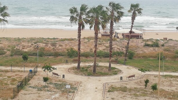 A beach view with palm trees, a sandy path, and a small structure near the water. - Xeracsol I 5º, Solo Familias! (Xeraco Playa)