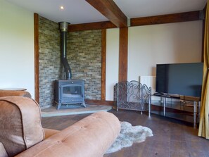 Televisión, chimenea