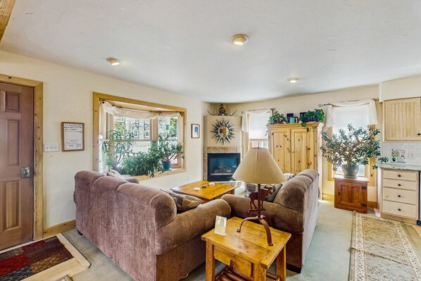 電視、壁爐、DVD 播放機