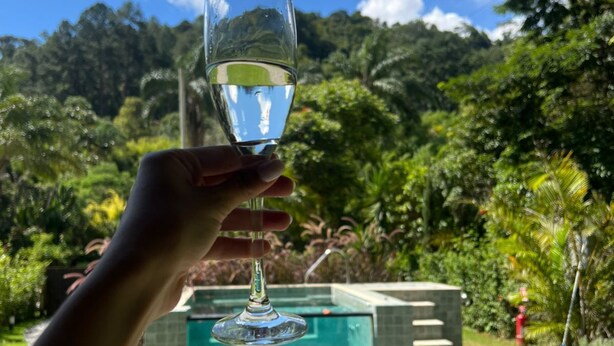 Una mano sostiene un vaso transparente con una piscina y follaje al fondo.