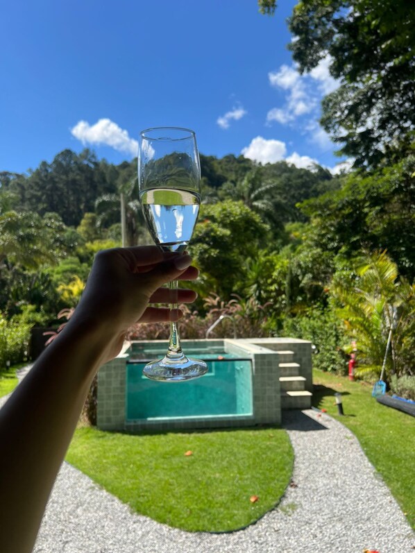 Private pool - Pousada Boutique Itaipava (Petrópolis)