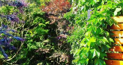 L&L del Bosque House