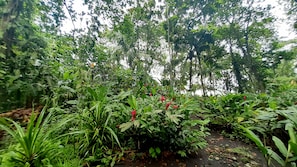 View from room - Lapalapa Beachfront (Cahuita)