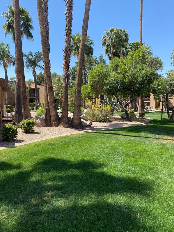 A well-maintained outdoor area with palm trees, a grassy lawn, and a building with balconies.