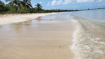 Plage à proximité, chaises longues, serviettes de plage