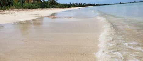 Ranta lähistöllä, aurinkotuoleja, rantapyyhkeitä