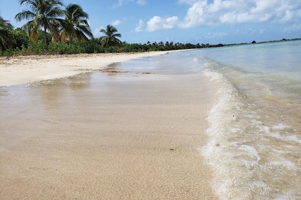 Vlak bij het strand, ligstoelen aan het strand, strandlakens