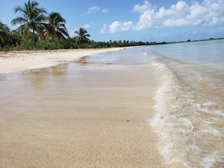 Beach nearby, sun loungers, beach towels. Steps from the Beach & Bio Bay Tours in Esperanza
