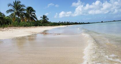 Steps from the Beach & Bio Bay Tours in Esperanza