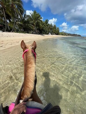Beach nearby, sun loungers, beach towels - Steps from the Beach & Bio Bay Tours in Esperanza (Vieques)