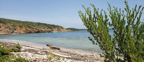 Playa en los alrededores, camastros y toallas de playa