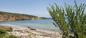 Steps from the Beach & Bio Bay Tours in Esperanza